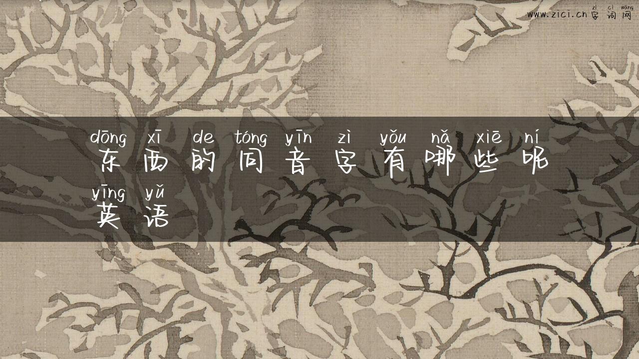 东西的同音字有哪些呢英语