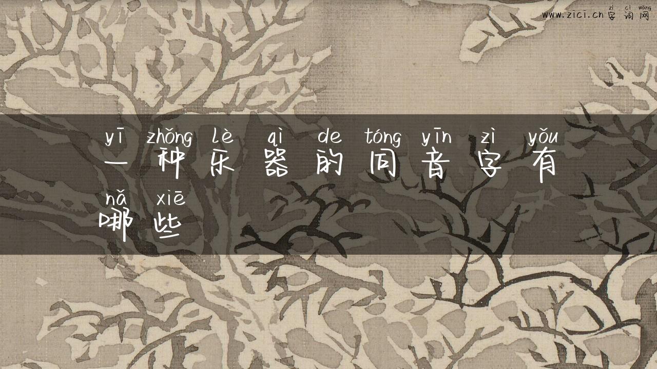 一种乐器的同音字有哪些