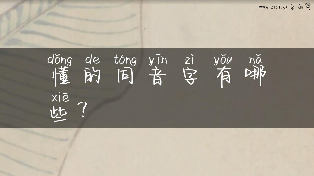 懂的同音字有哪些？