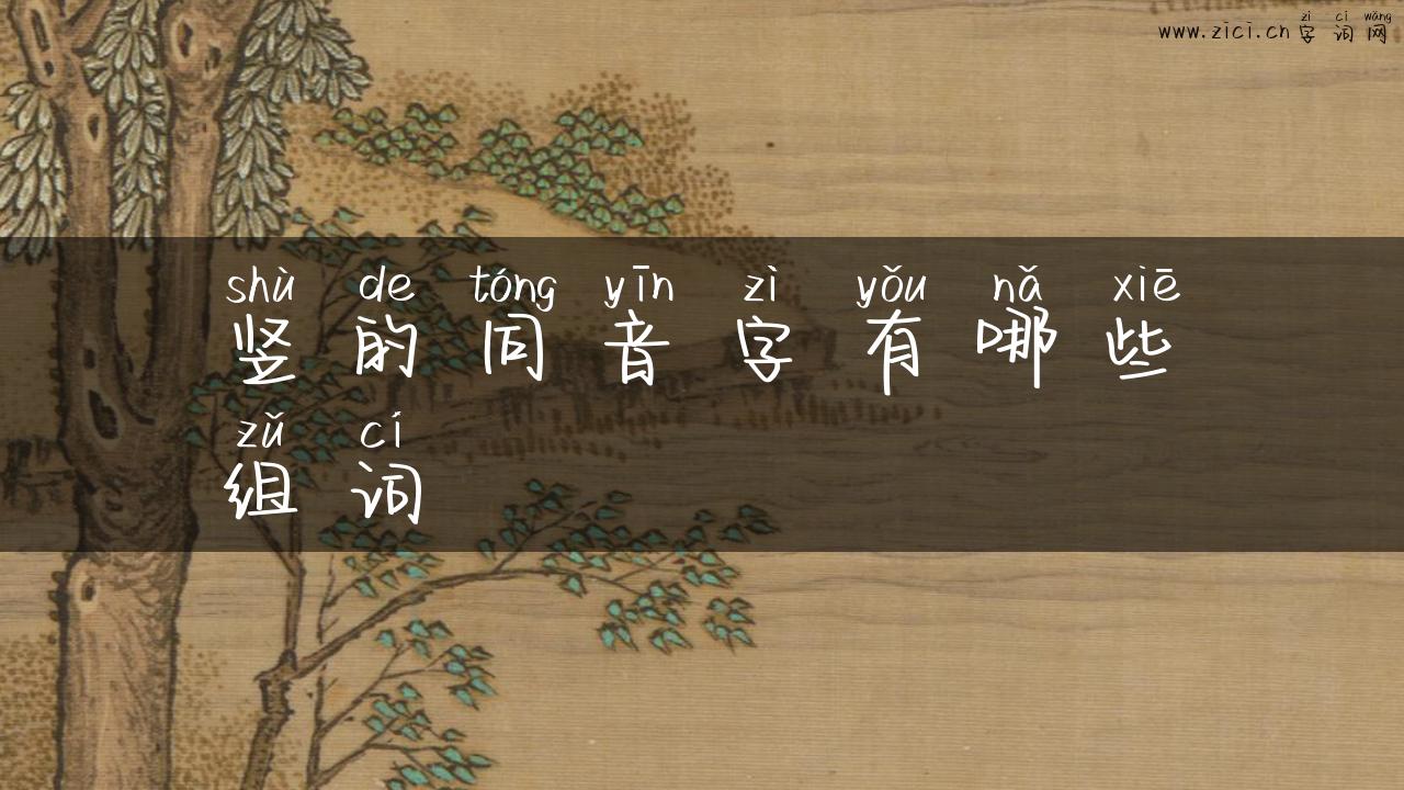 竖的同音字有哪些组词