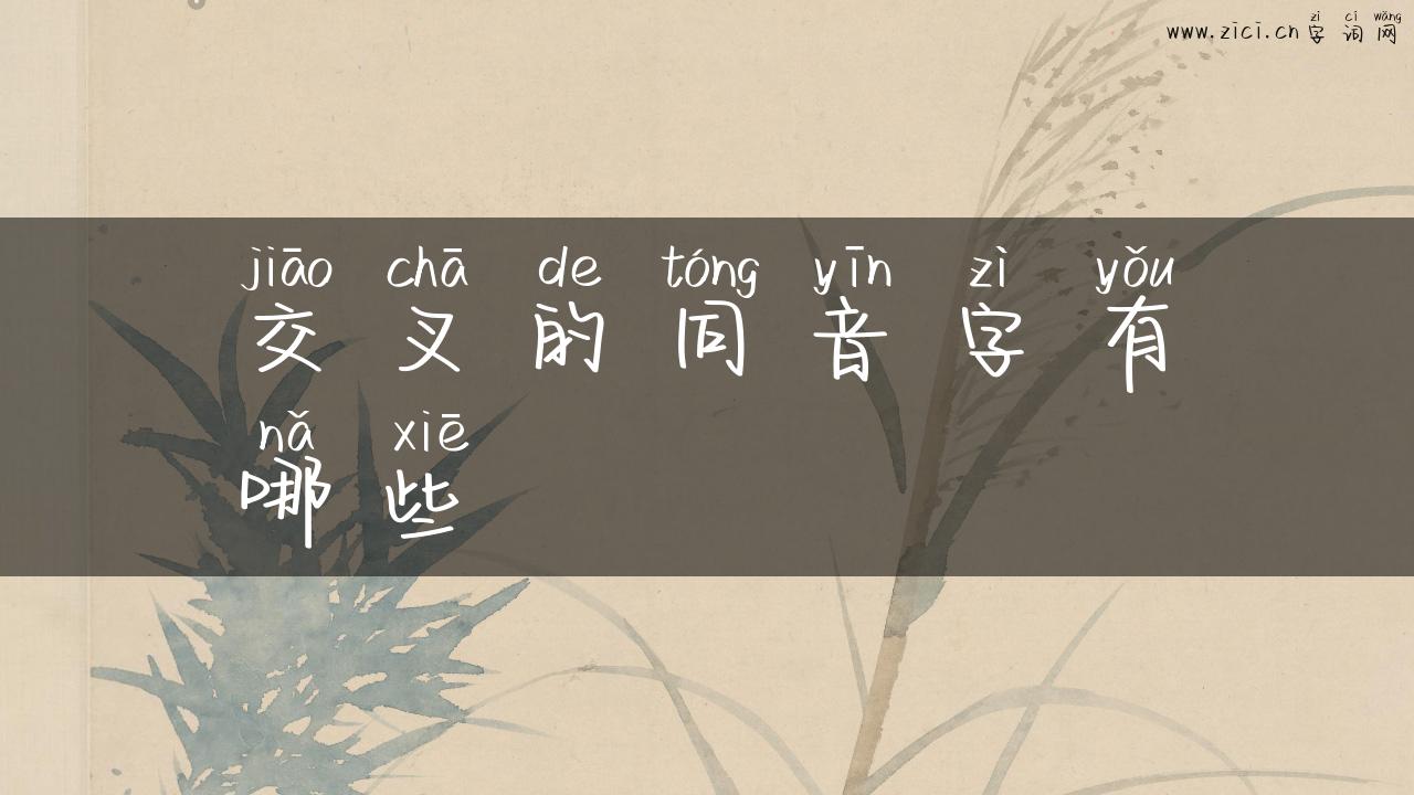 交叉的同音字有哪些