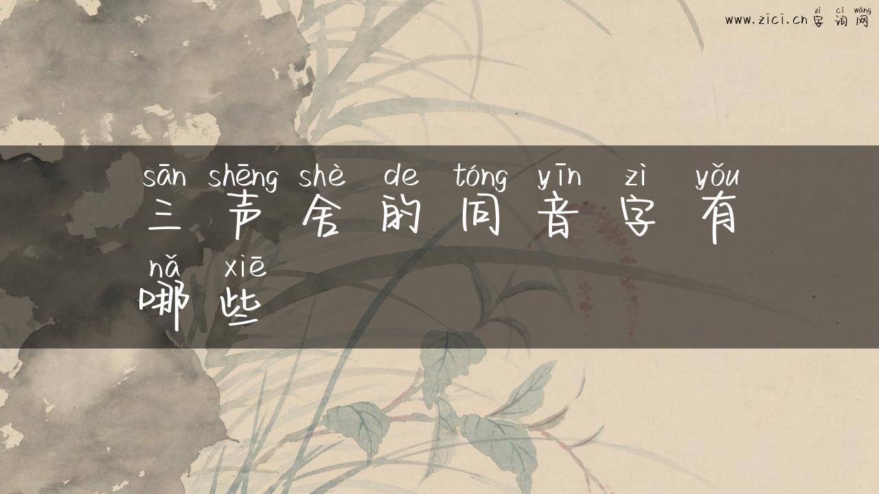 三声舍的同音字有哪些