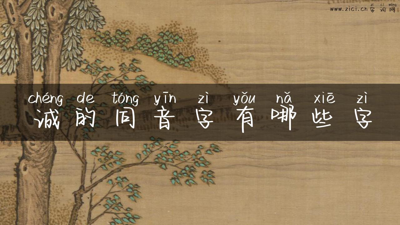 诚的同音字有哪些字