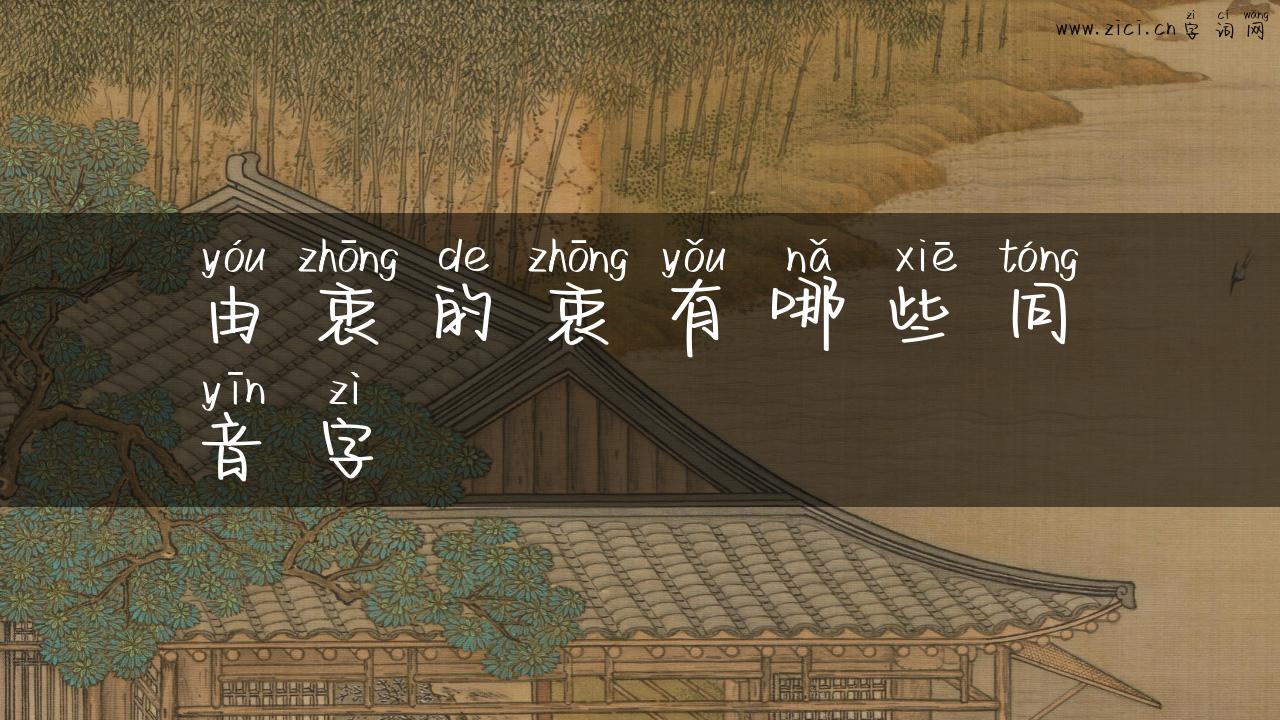 由衷的衷有哪些同音字