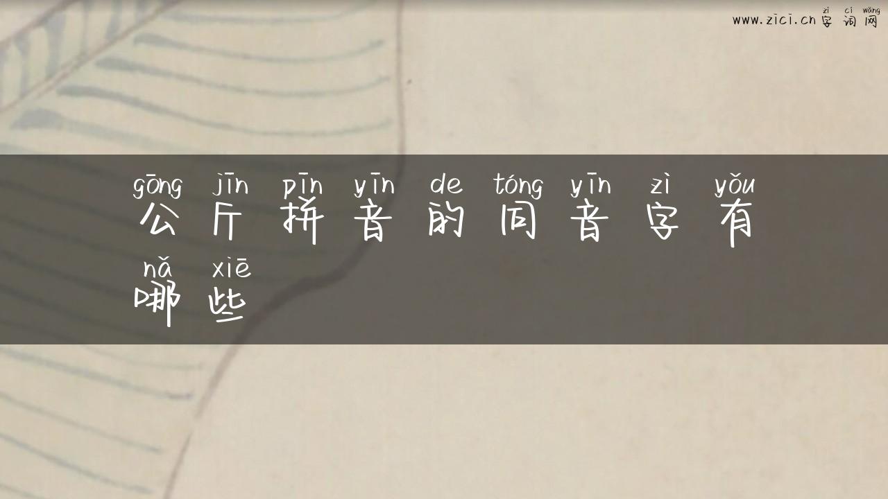 公斤拼音的同音字有哪些