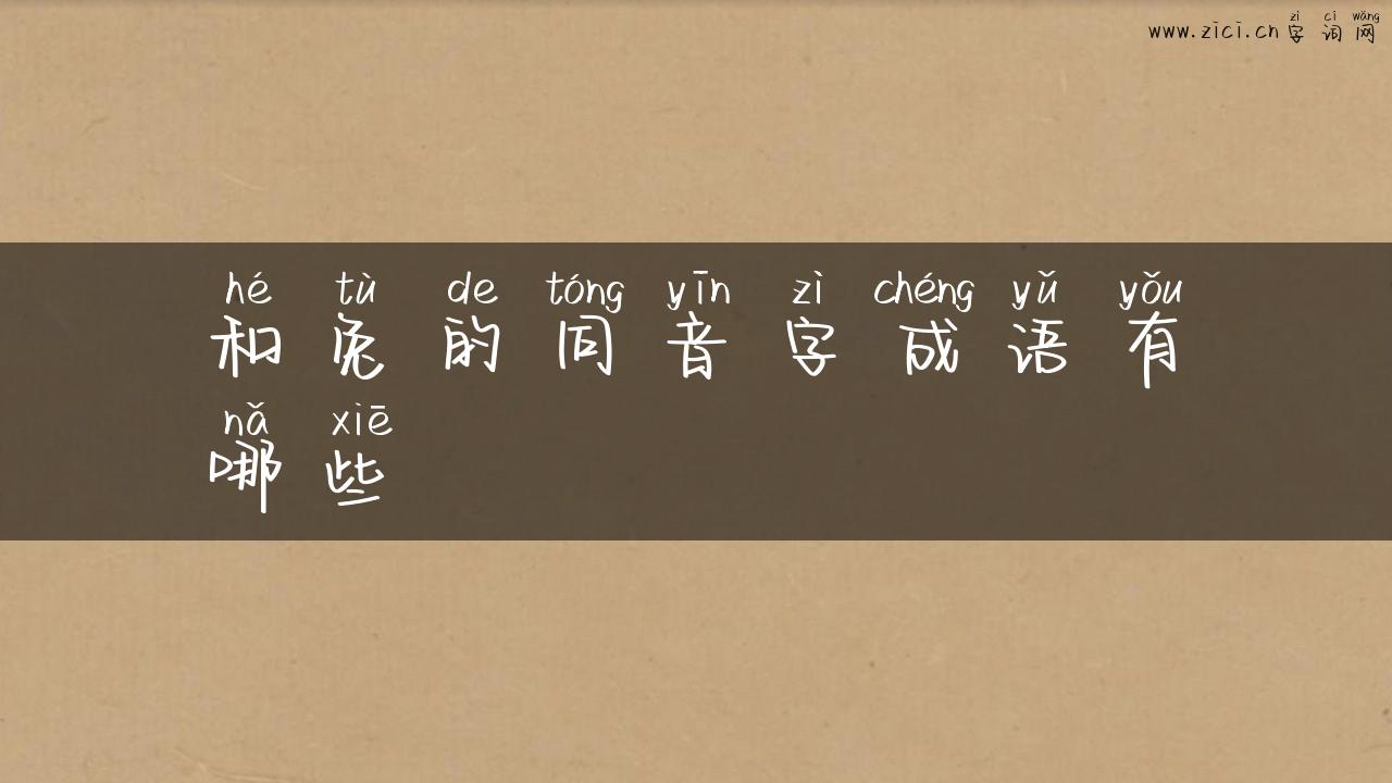 和兔的同音字成语有哪些