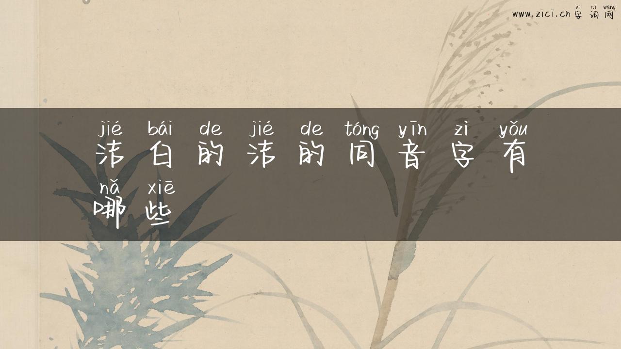 洁白的洁的同音字有哪些