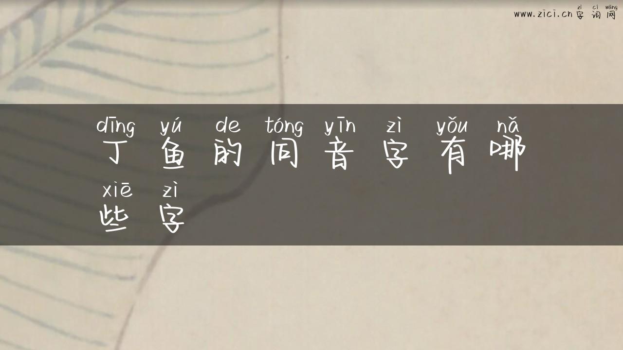 丁鱼的同音字有哪些字