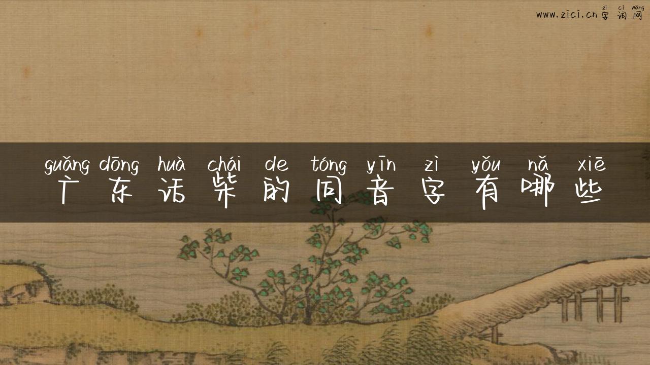 广东话柴的同音字有哪些