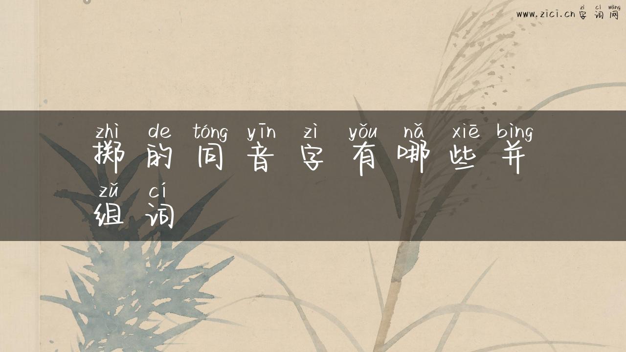 掷的同音字有哪些并组词