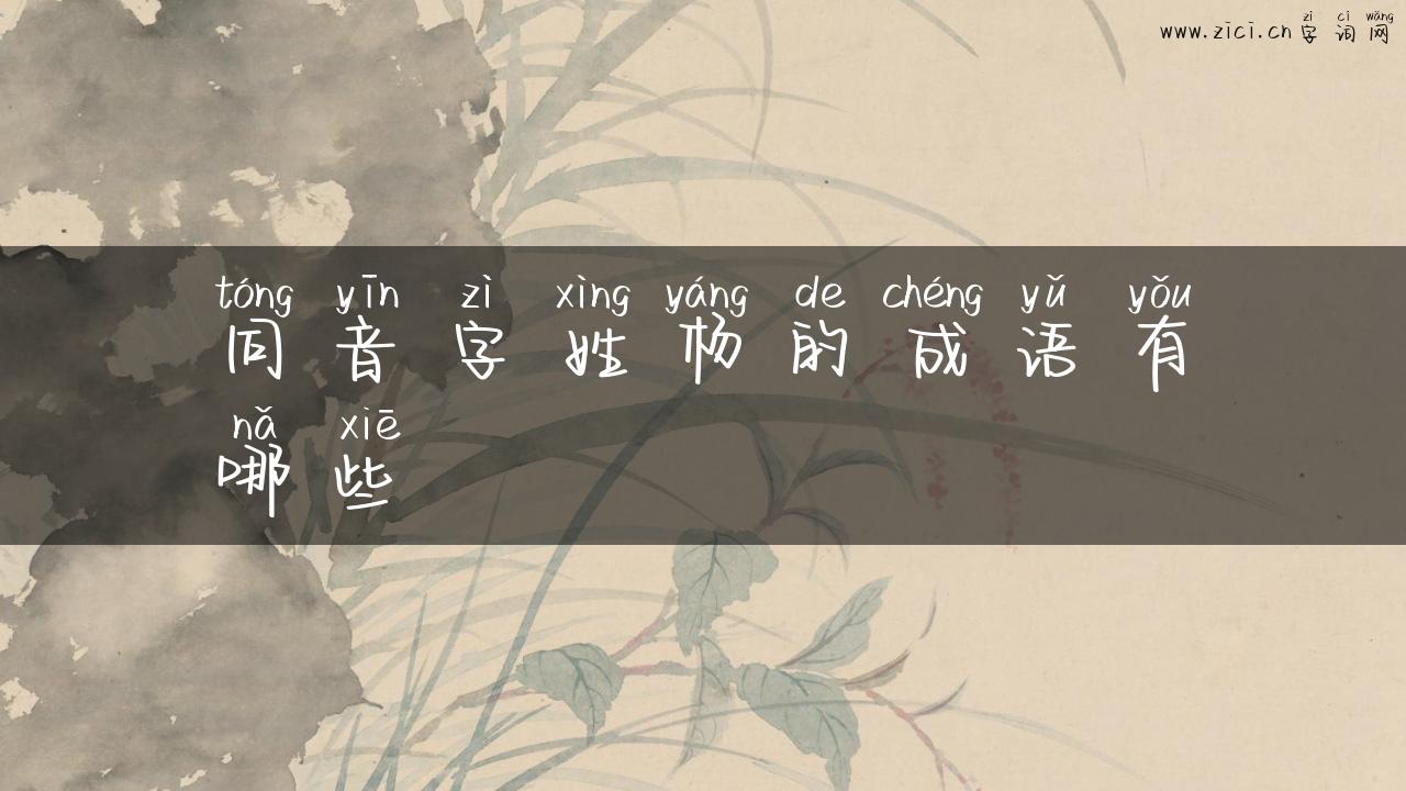 同音字姓杨的成语有哪些