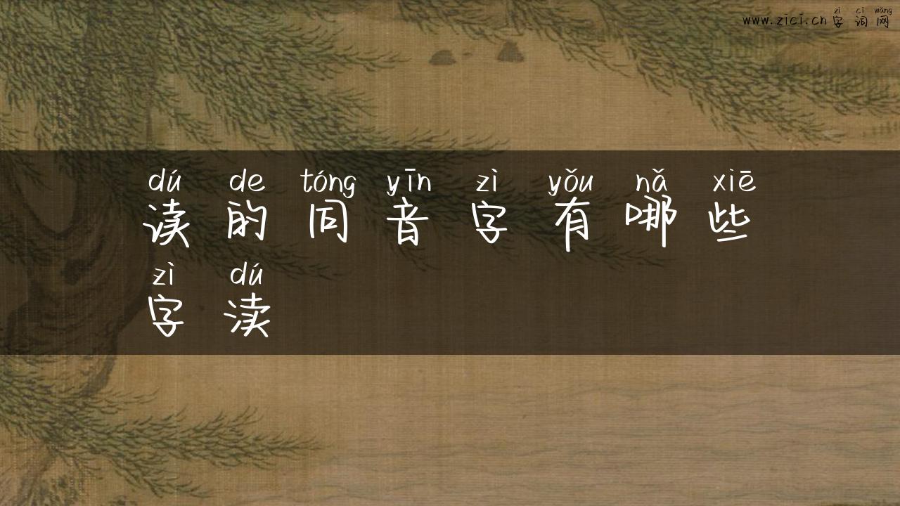 读的同音字有哪些字渎