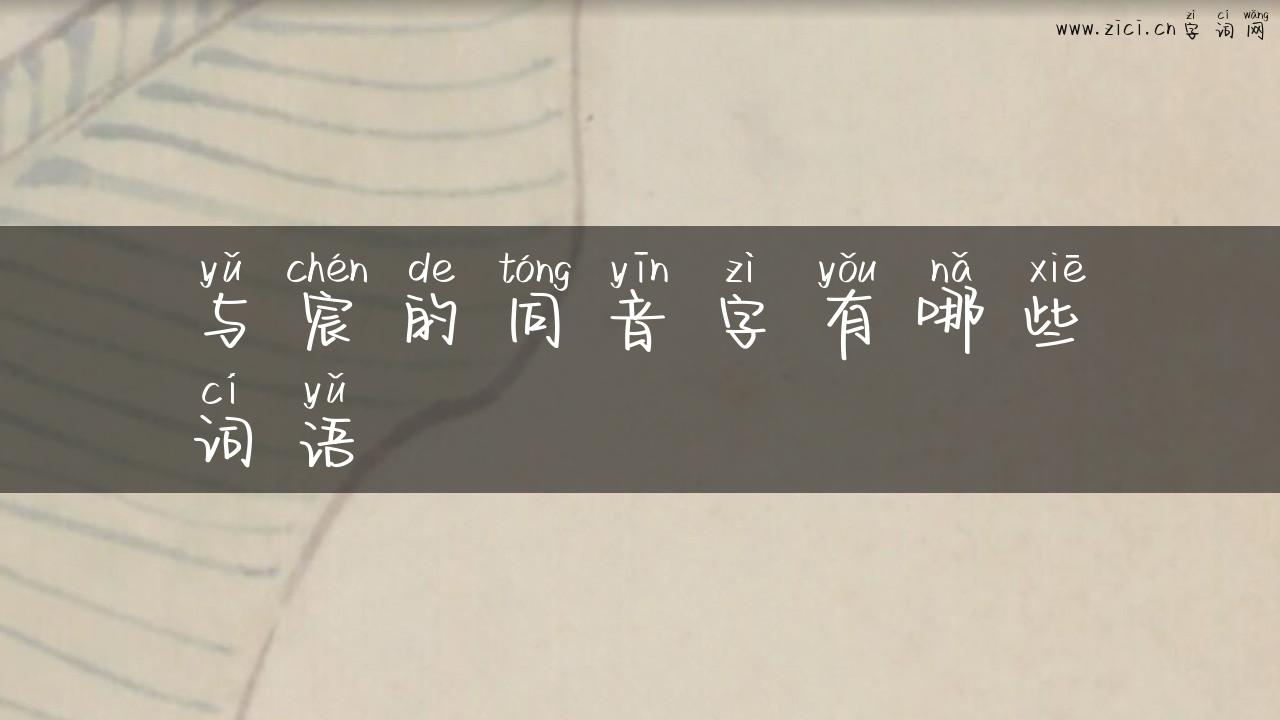 与宸的同音字有哪些词语