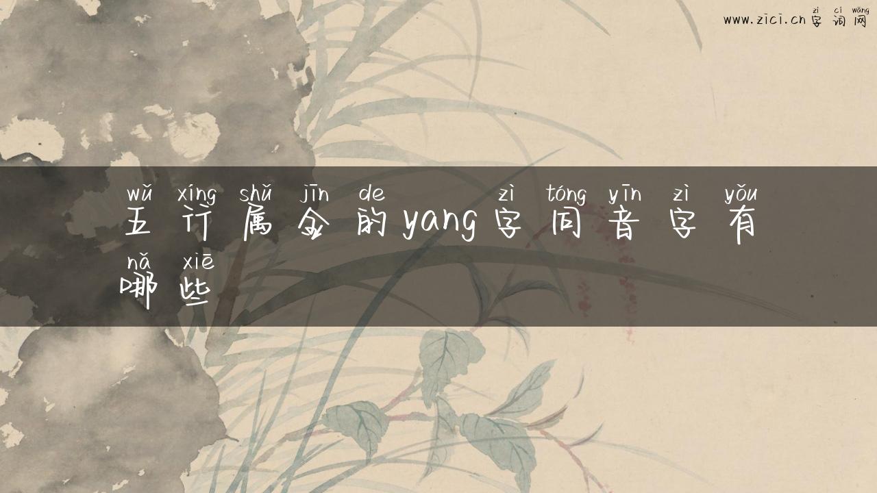五行属金的yang字同音字有哪些