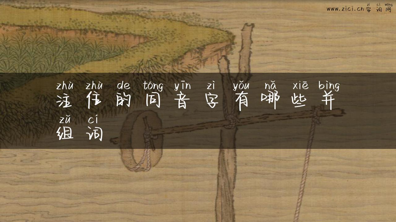注住的同音字有哪些并组词