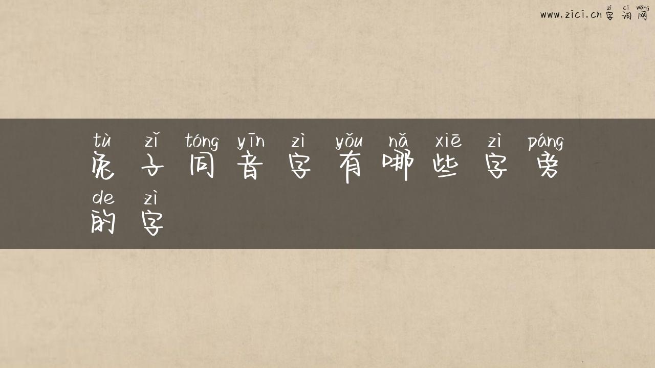 兔子同音字有哪些字旁的字