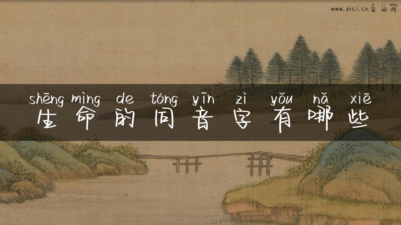 生命的同音字有哪些