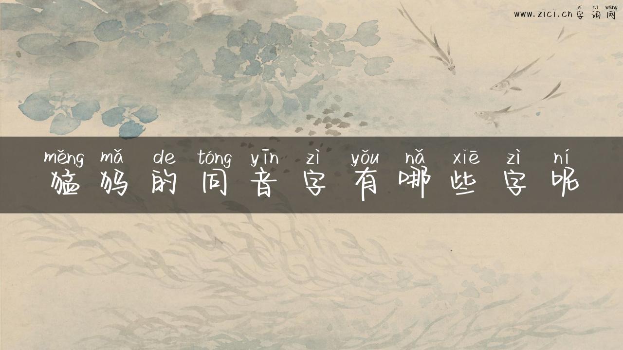猛犸的同音字有哪些字呢