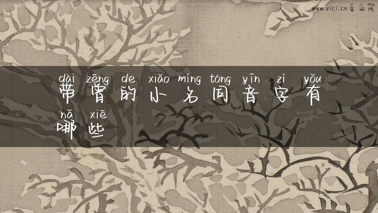带曾的小名同音字有哪些