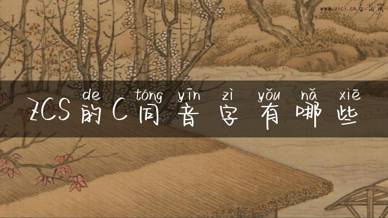 ZCS的C同音字有哪些