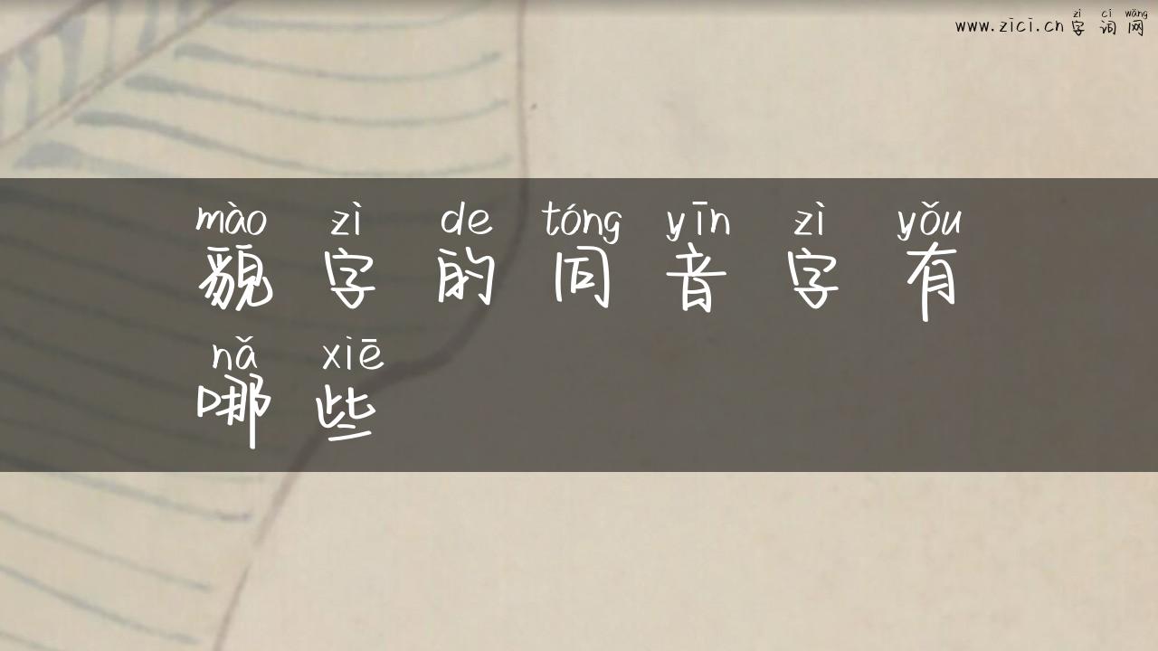 貌字的同音字有哪些