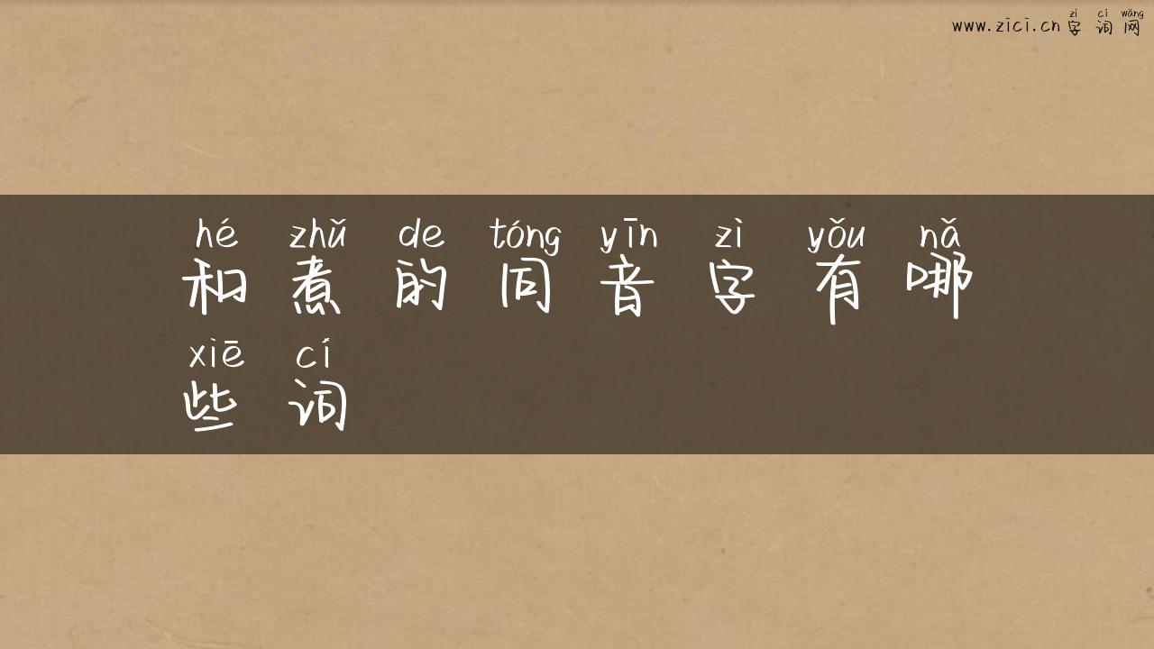 和煮的同音字有哪些词