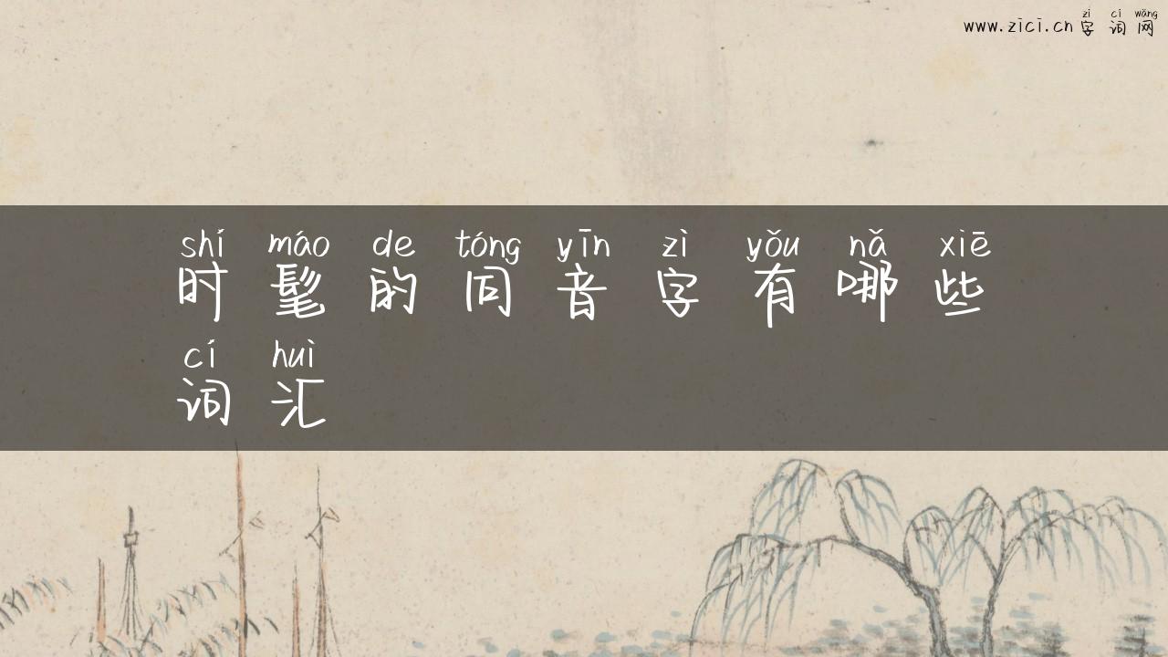 时髦的同音字有哪些词汇