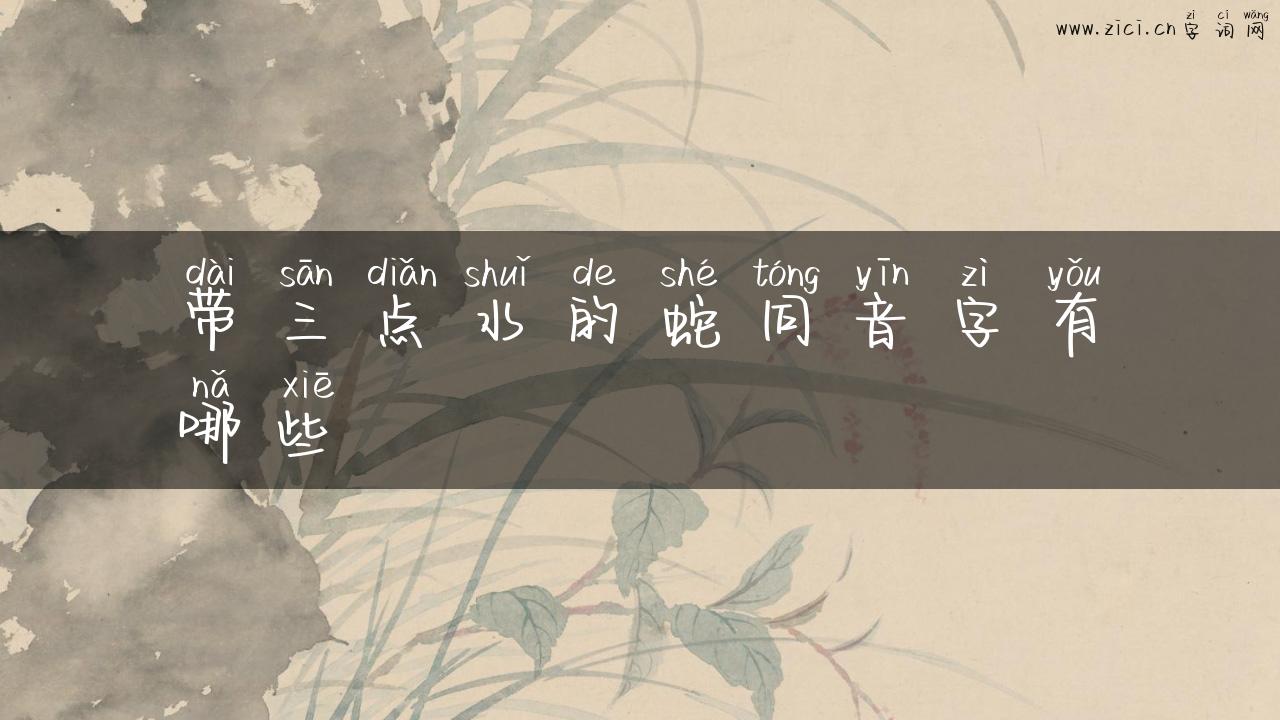 带三点水的蛇同音字有哪些