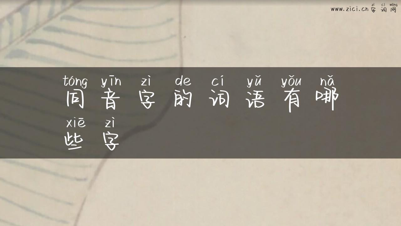 同音字的词语有哪些字