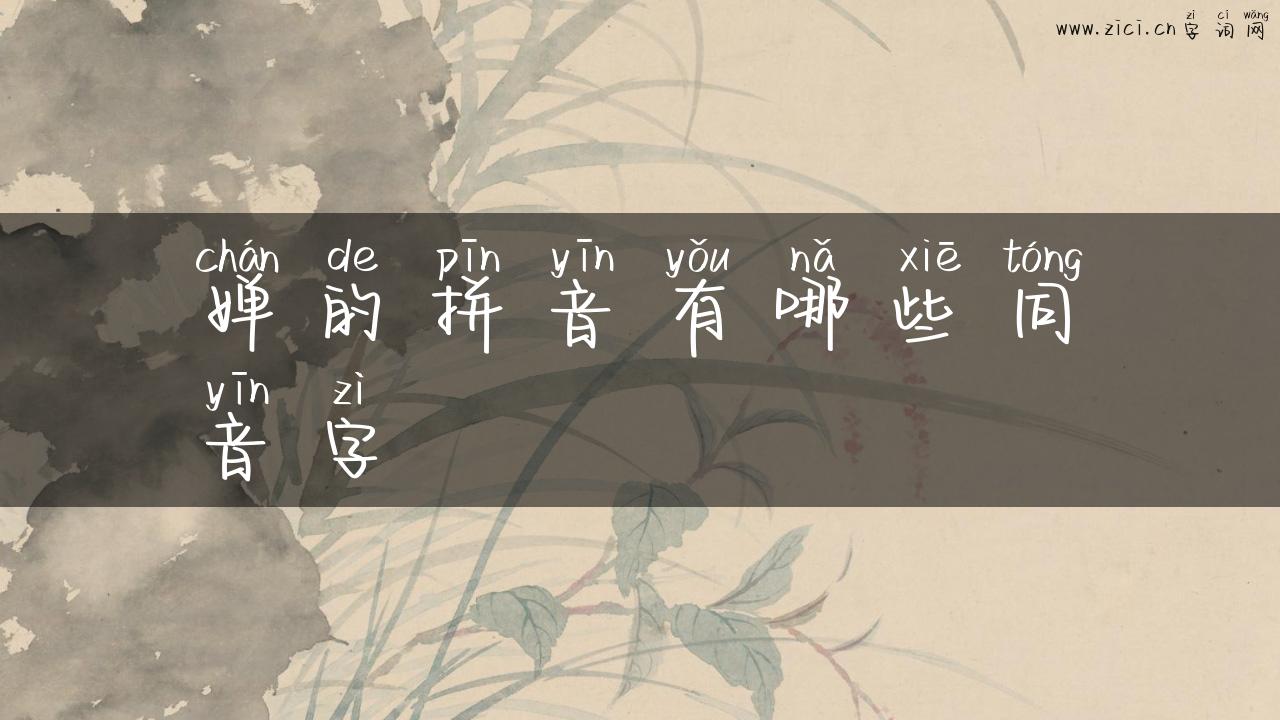 婵的拼音有哪些同音字
