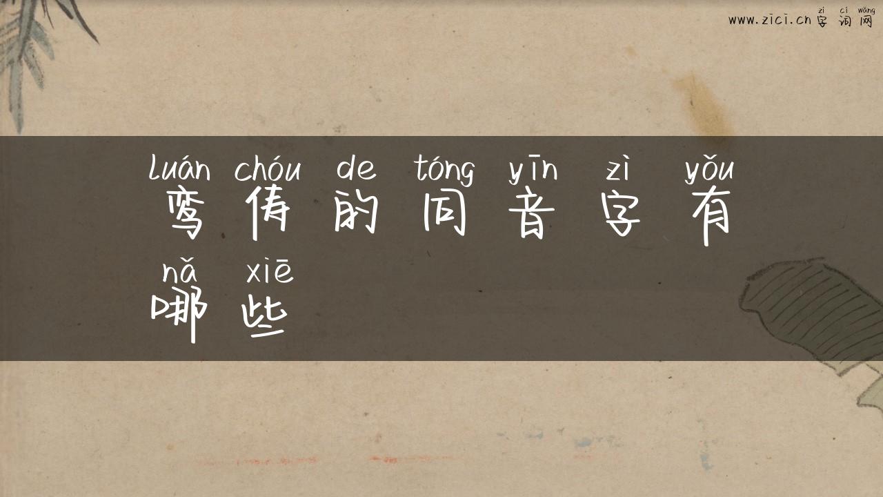 鸾俦的同音字有哪些