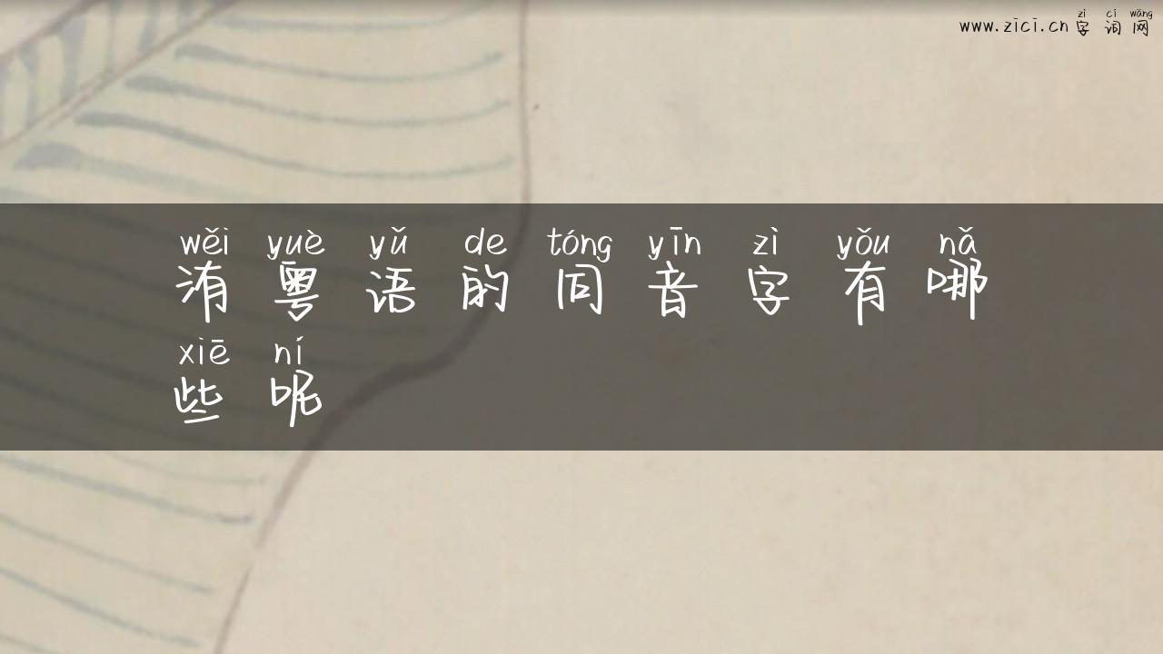 洧粤语的同音字有哪些呢