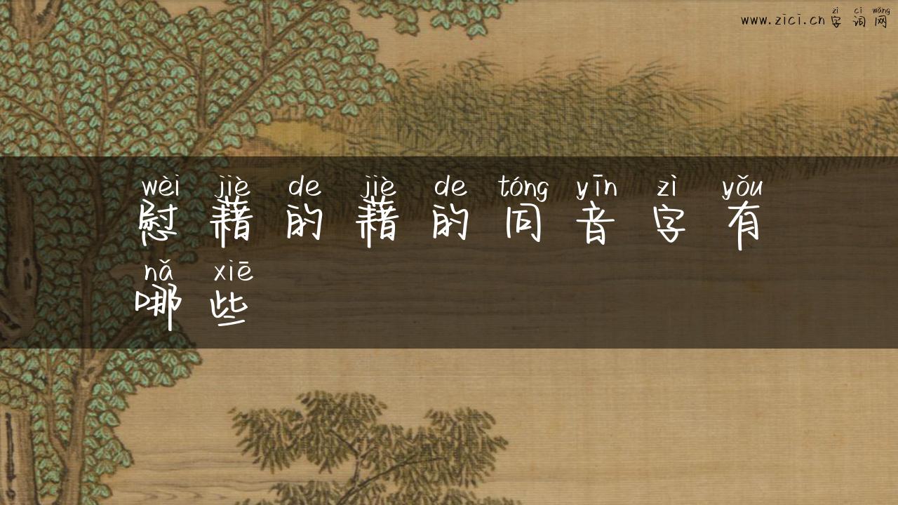 慰藉的藉的同音字有哪些
