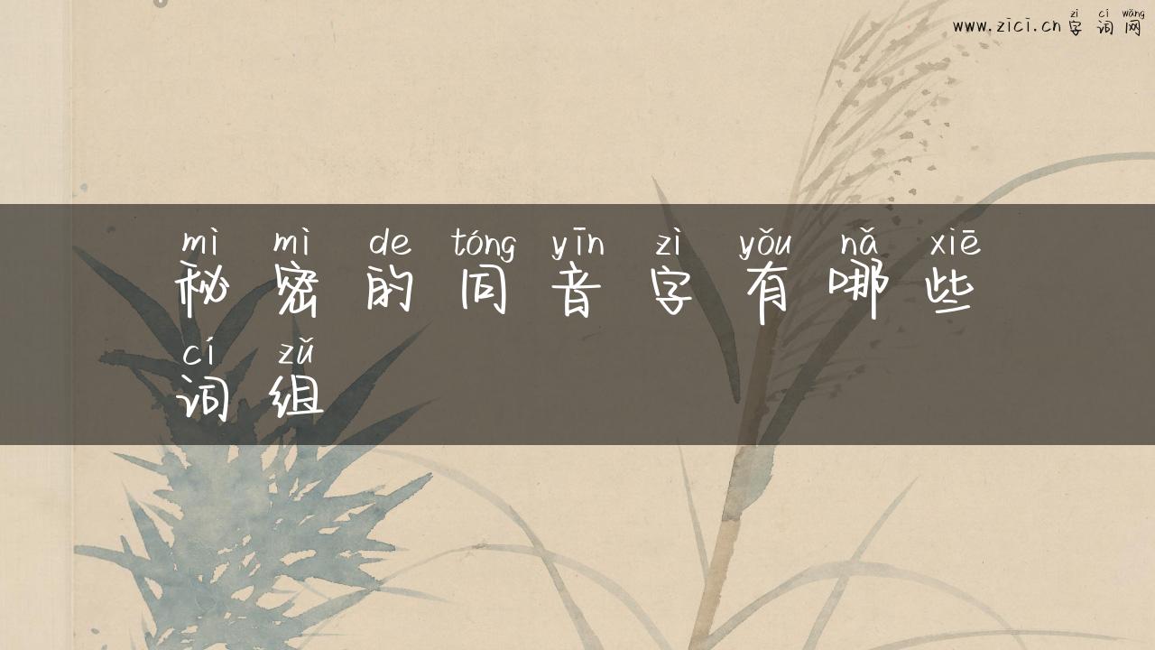 秘密的同音字有哪些词组