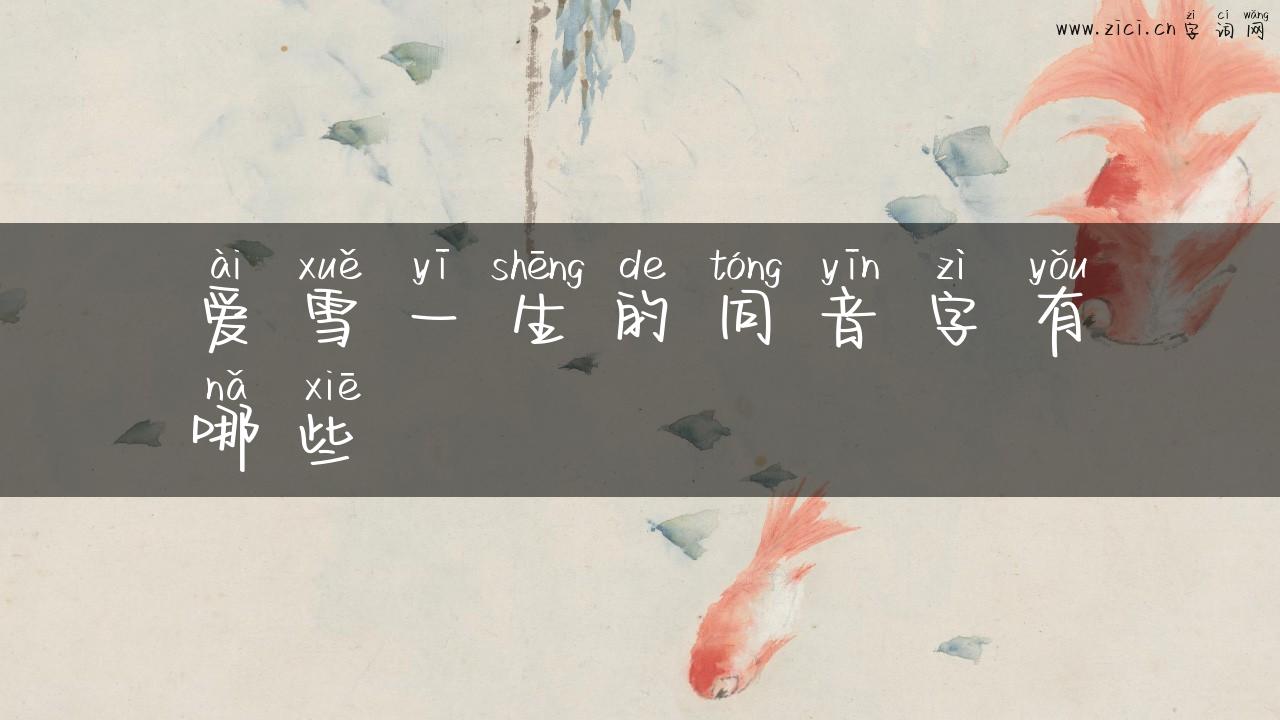 爱雪一生的同音字有哪些