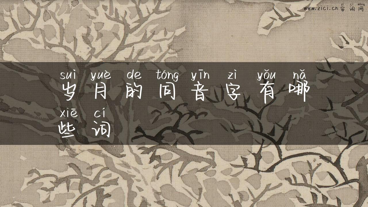 岁月的同音字有哪些词