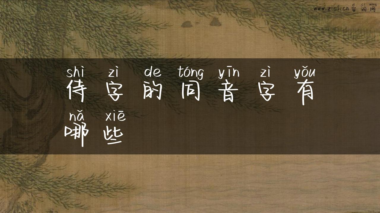 侍字的同音字有哪些