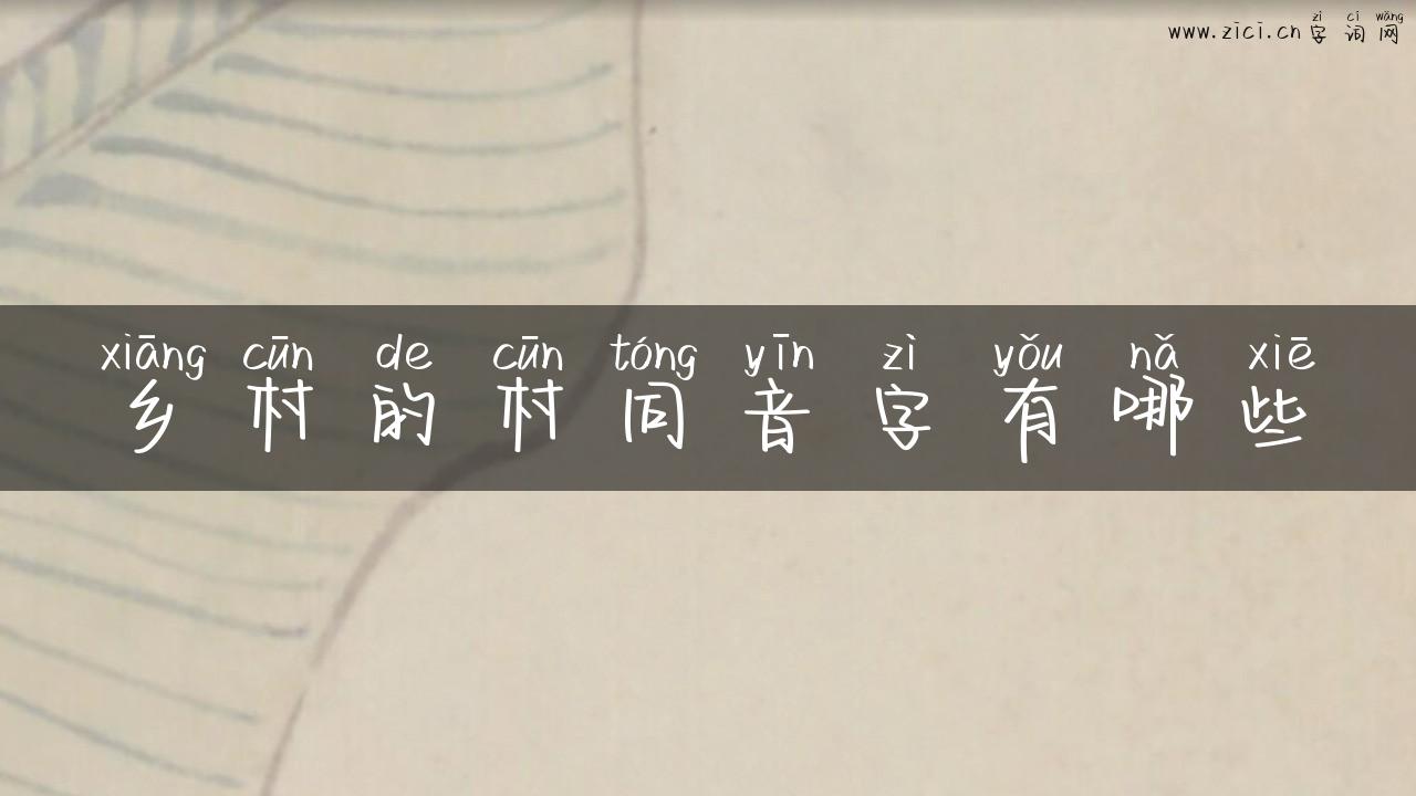 乡村的村同音字有哪些