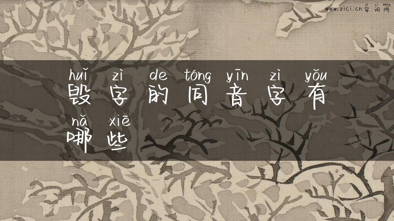 毁字的同音字有哪些