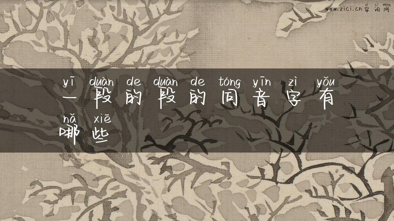 一段的段的同音字有哪些