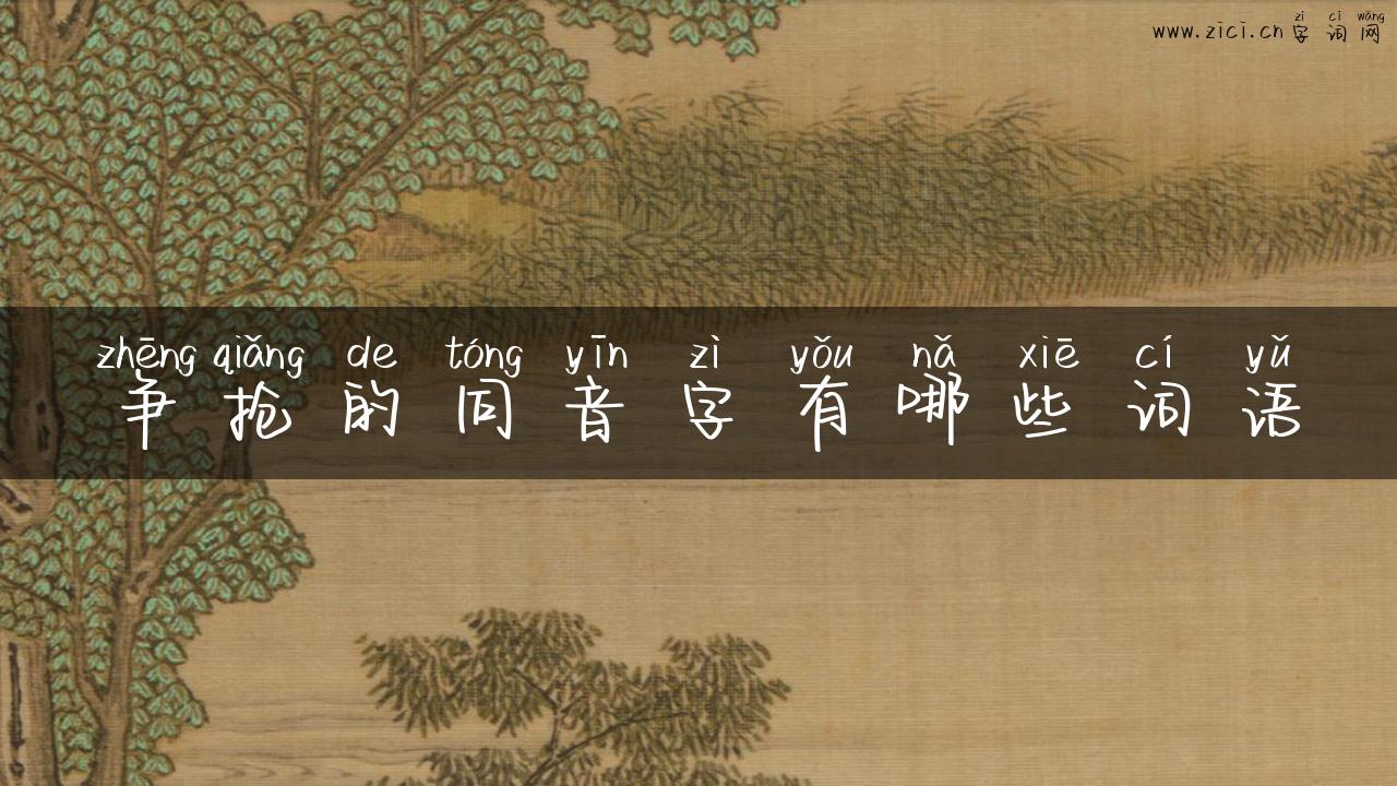 争抢的同音字有哪些词语