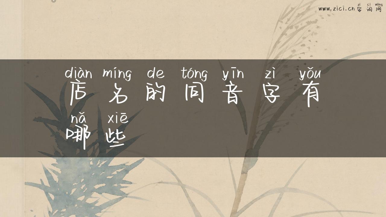店名的同音字有哪些