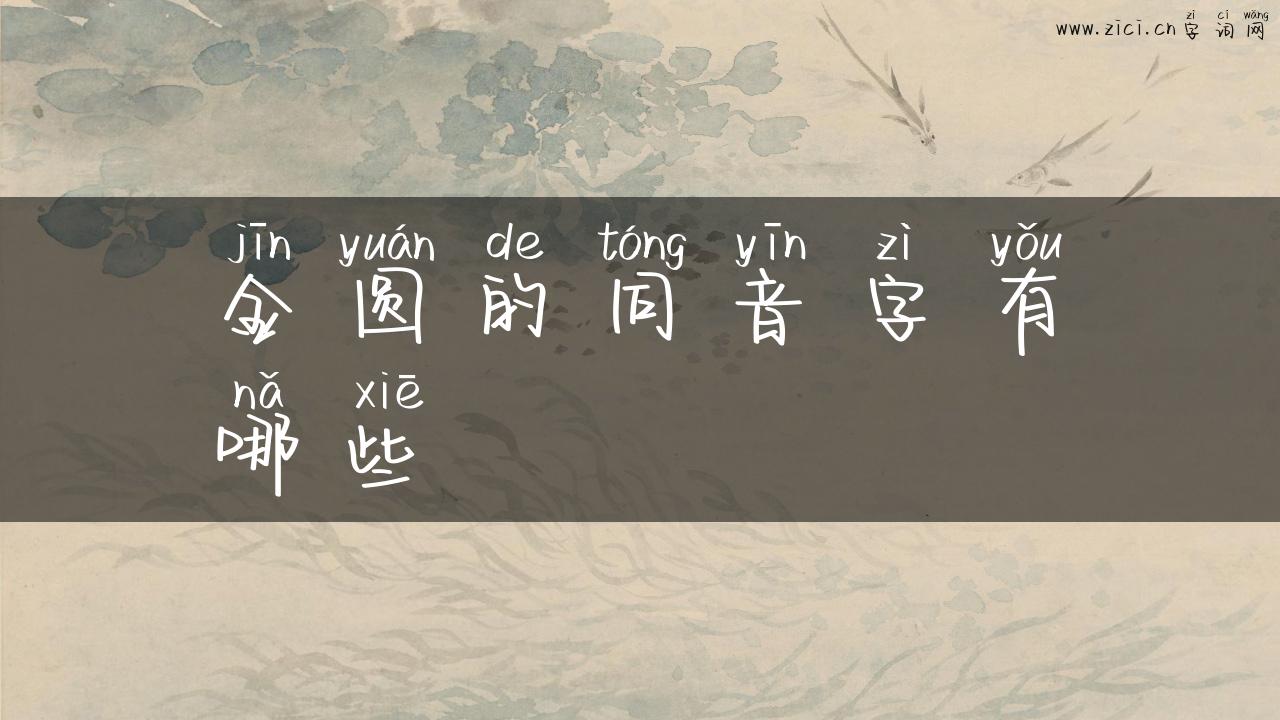 金圆的同音字有哪些