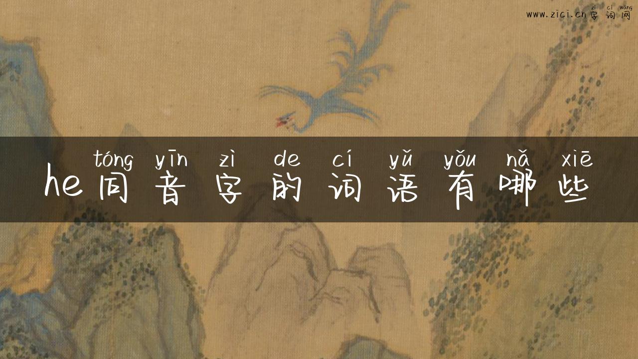 he同音字的词语有哪些
