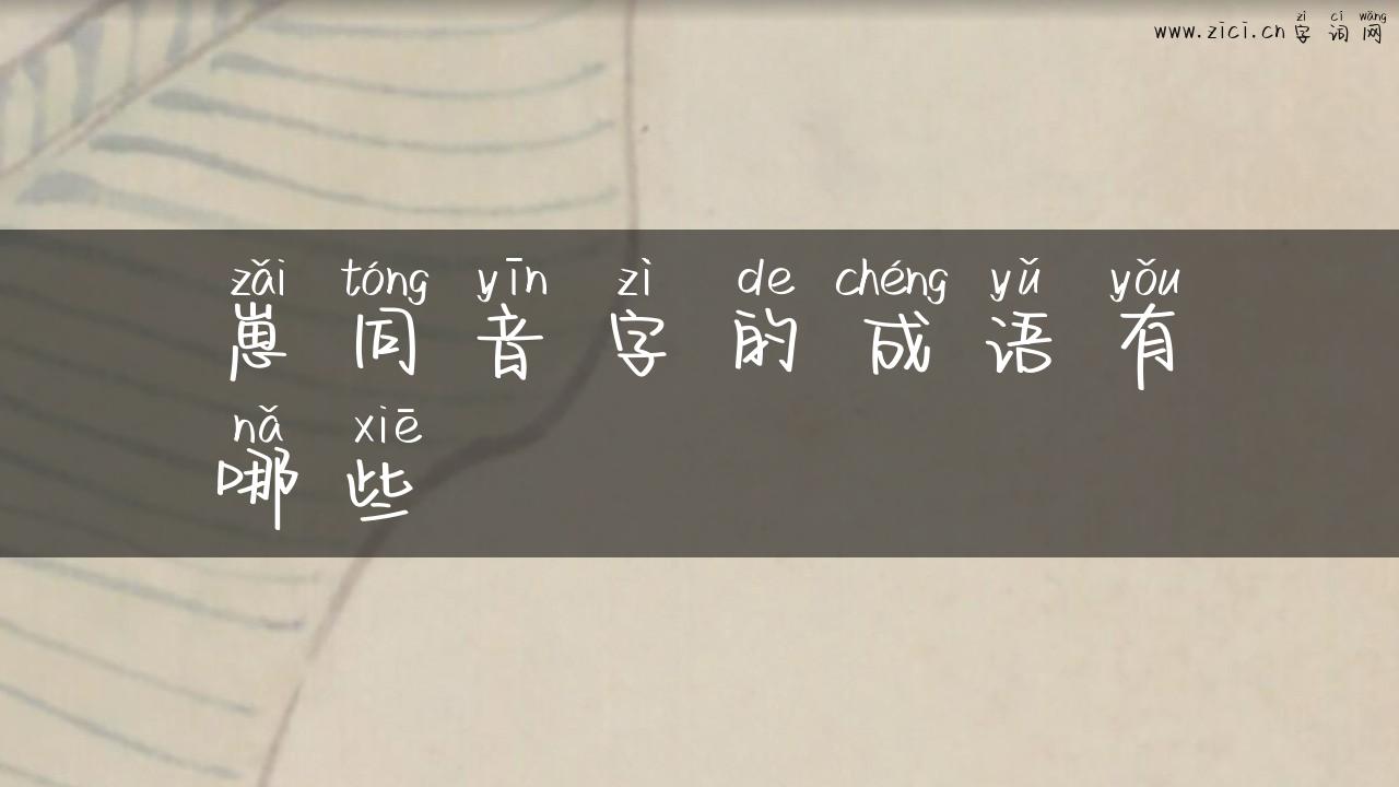 崽同音字的成语有哪些