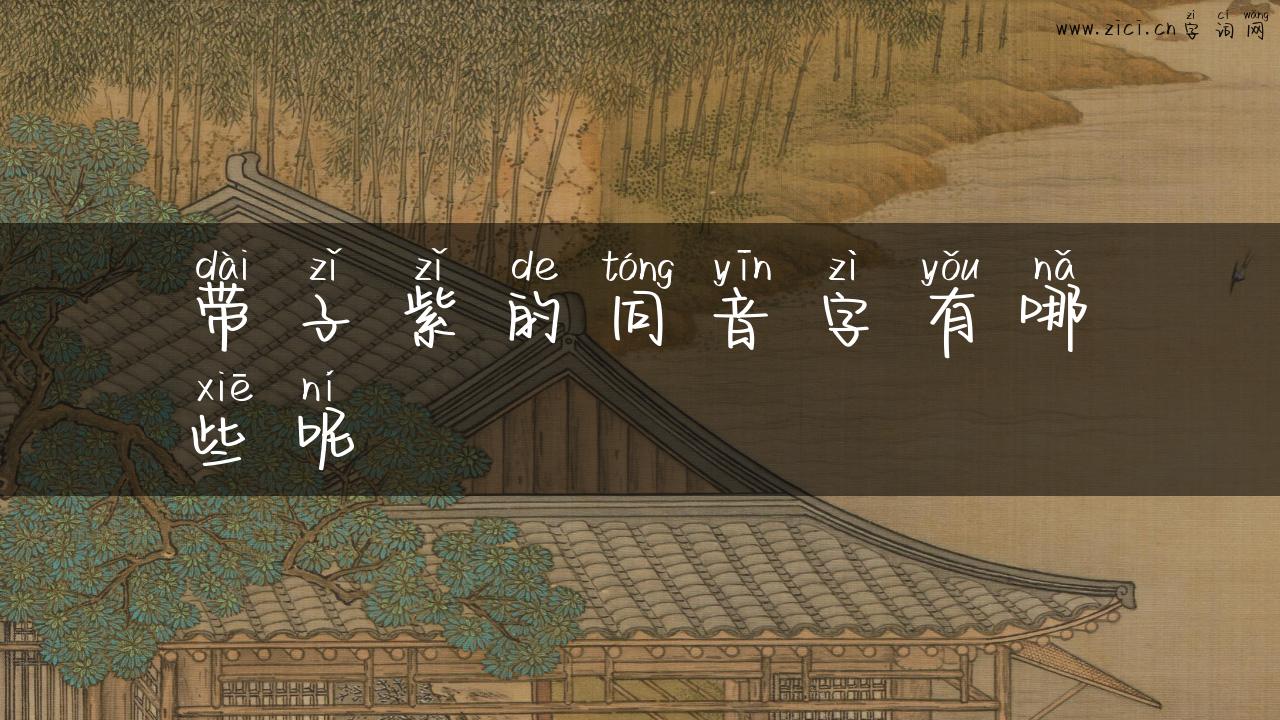 带子紫的同音字有哪些呢