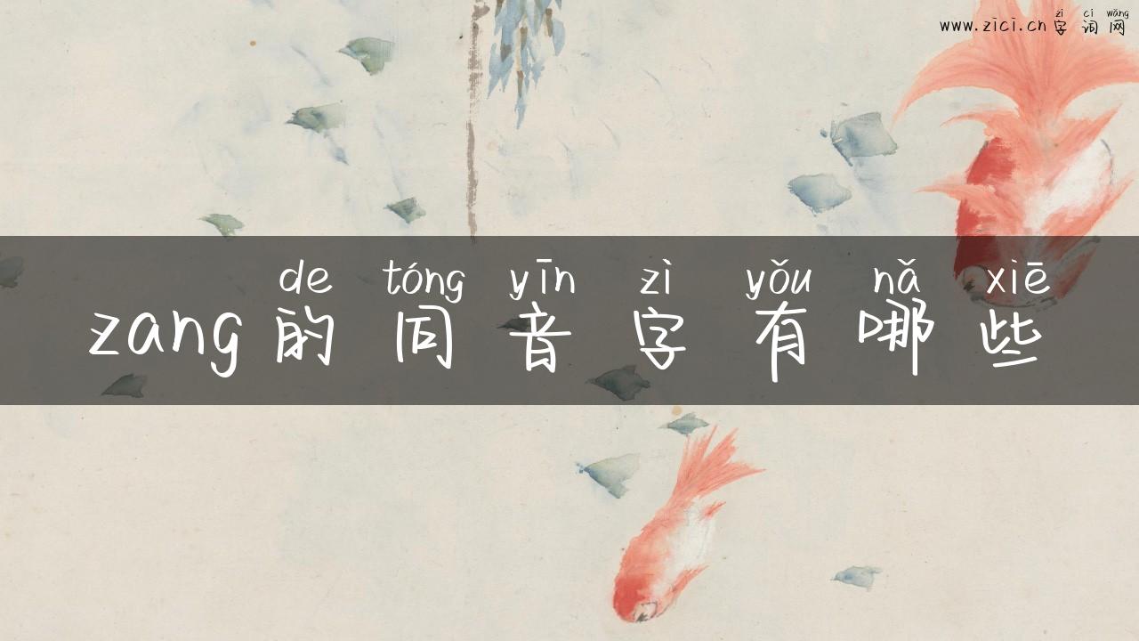 zang的同音字有哪些