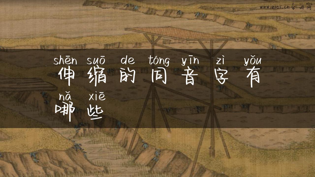 伸缩的同音字有哪些