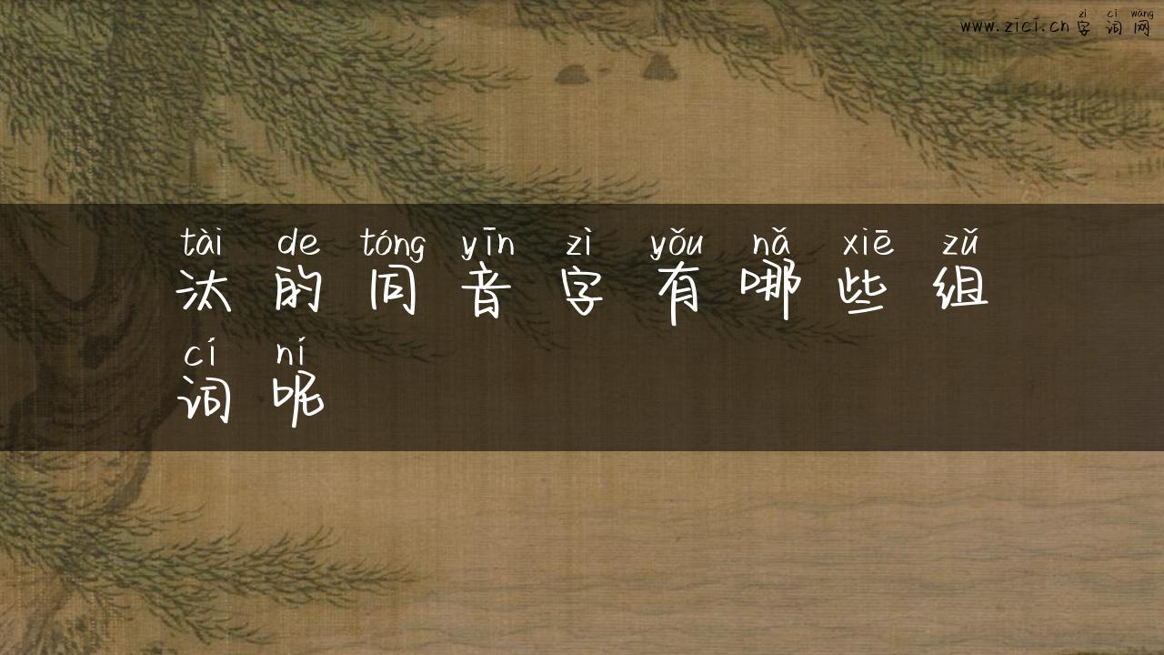 汰的同音字有哪些组词呢