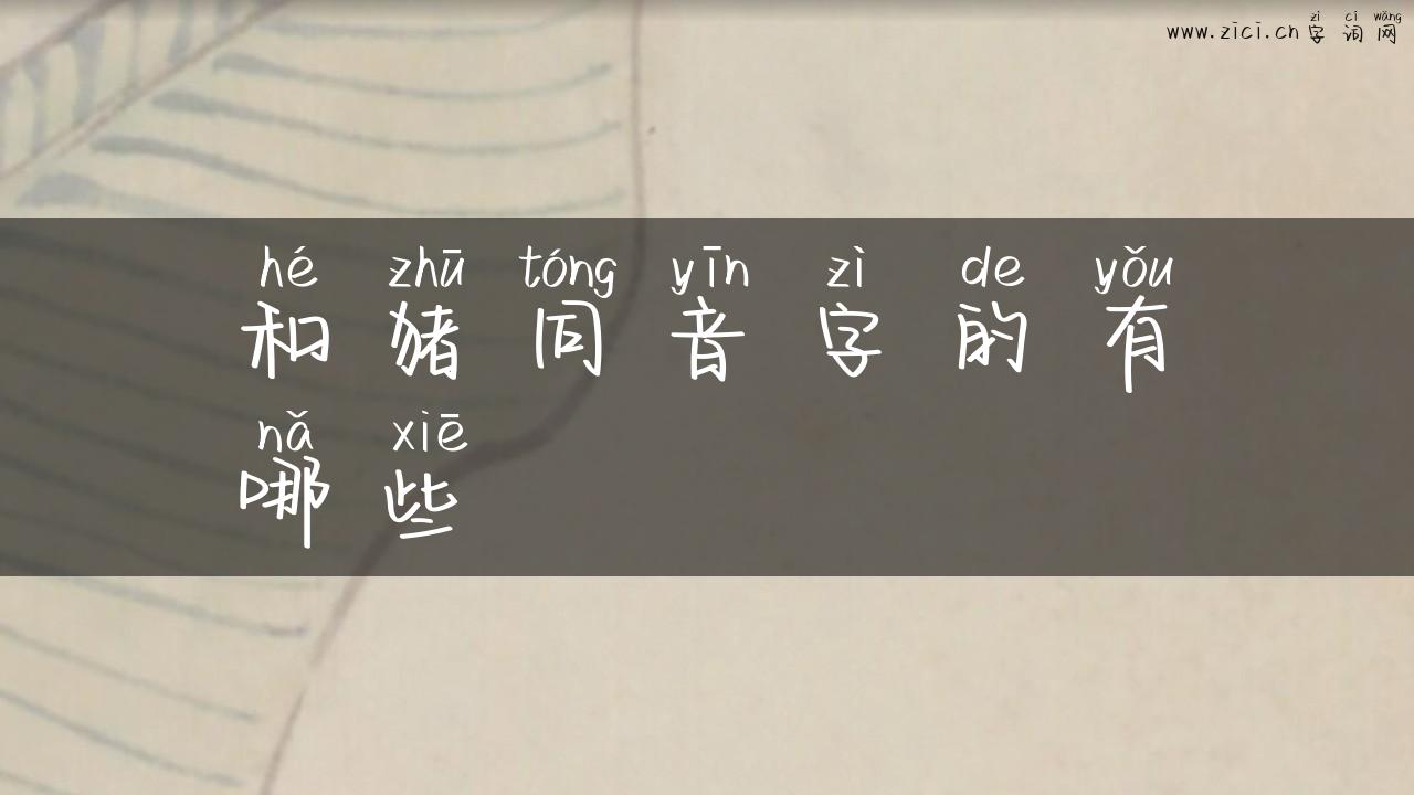 和猪同音字的有哪些